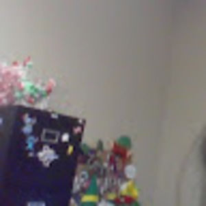 Meet your Posher, Eva